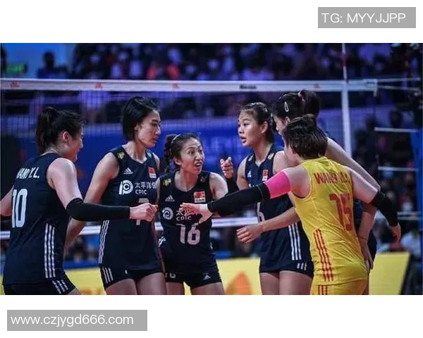 深入剖析杭州排球队各队员实力对比与战术优势解析 深入剖析杭州排球队各队员实力对比与战术优势解析