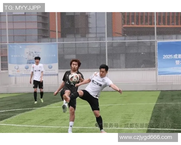 成都足球队在城市联赛中的状态表现分析与点评