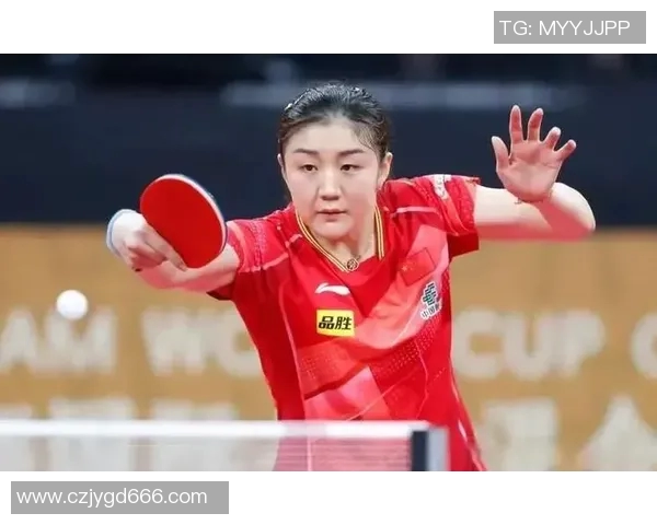 杨敏回顾乒乓球辉煌历程与心路历程的专访分享