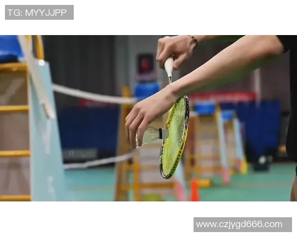 科学羽毛球实力提升的有效训练方法与技巧解析 科学羽毛球实力提升的有效训练方法与技巧解析