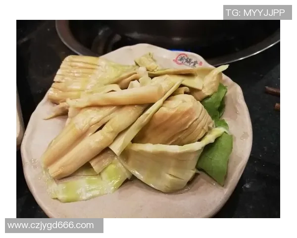 深度对话赵芳探讨篮球人生与欧冠足球的精彩交汇 深度对话赵芳探讨篮球人生与欧冠足球的精彩交汇