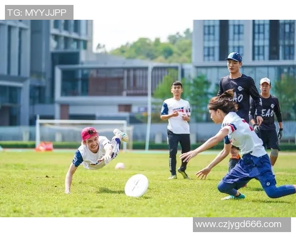 运动飞盘装备选购指南及防护垫推荐助你安全畅享体育乐趣 运动飞盘装备选购指南及防护垫推荐助你安全畅享体育乐趣