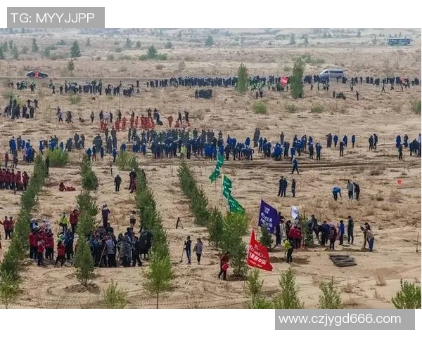 武汉极限运动队的整体表现分析与成就反思实时数据